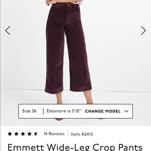 Emmet Wide Leg Crop Pant in Velveteen